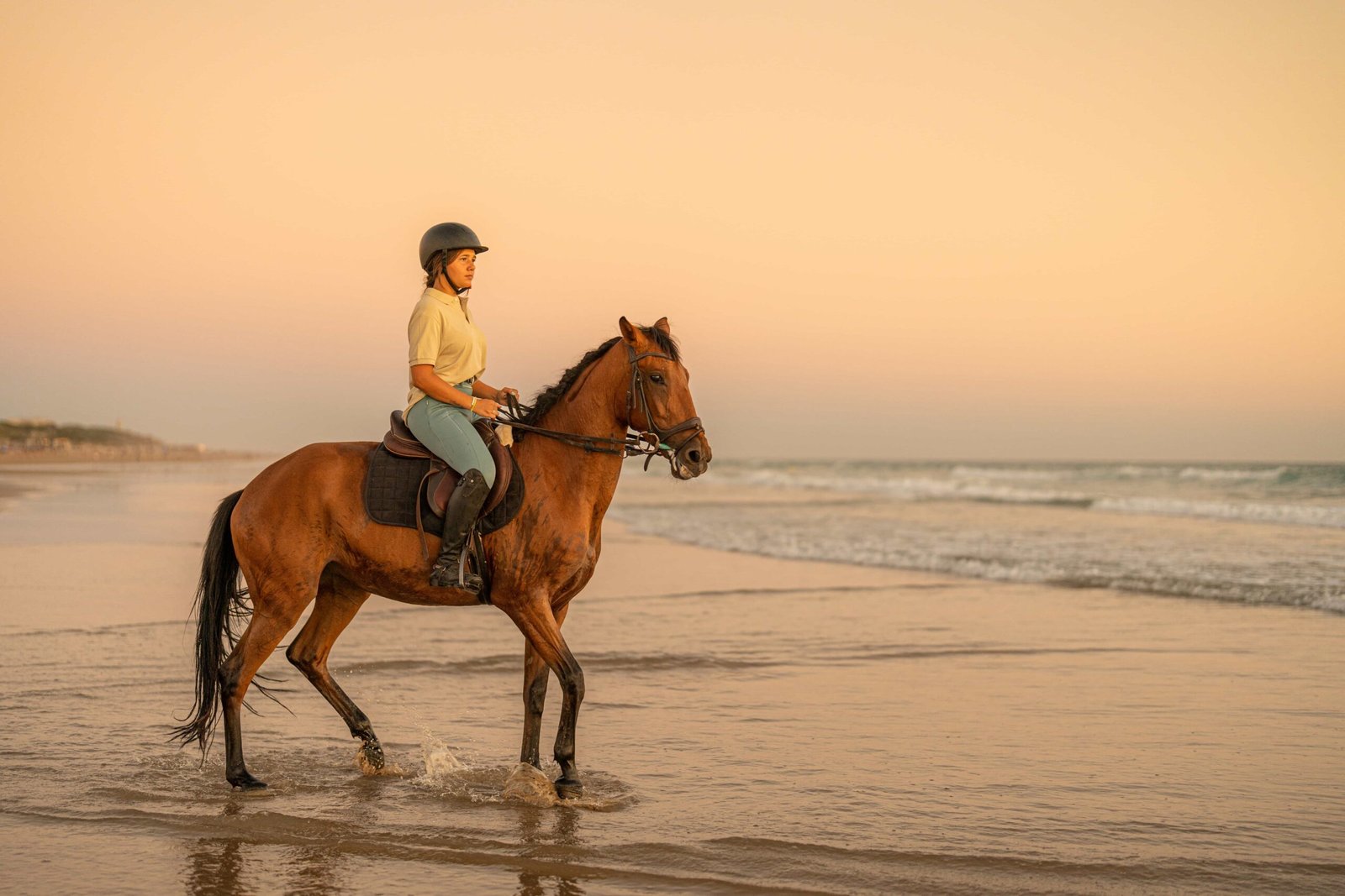 beach horse riding in dubai